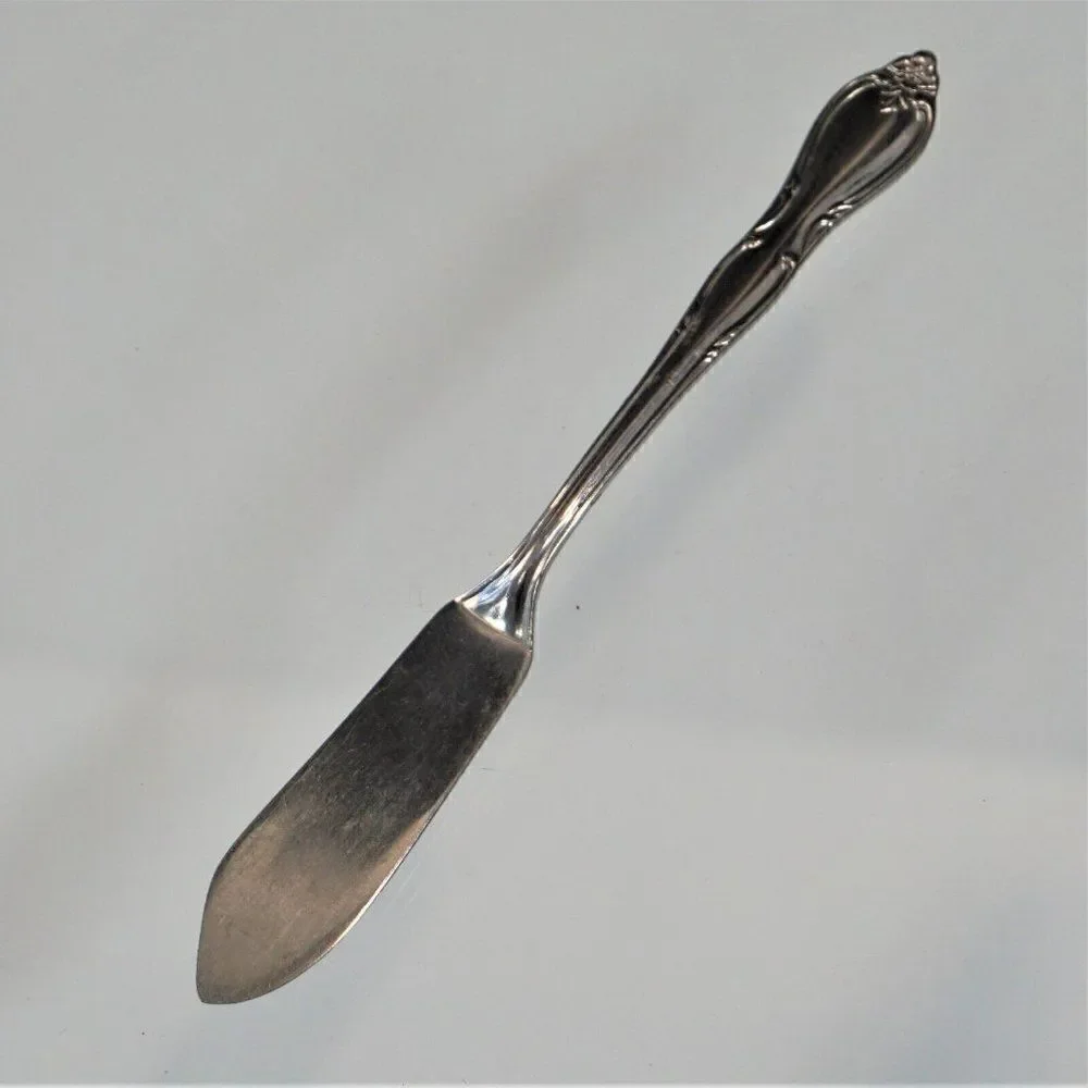 Oneida Wm A Rogers MONTCLAIR Pattern Butter Knife Vintage Stainless Floral Tip